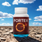 FORTEX